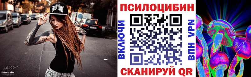 KRAKEN зеркало Хилок Псилоцибиновые грибы Psilocybe